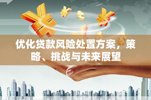 荣县优化贷款风险处置方案，策略、挑战与未来展望