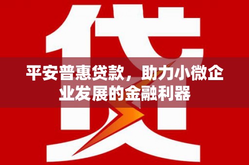荣县平安普惠贷款，助力小微企业发展的金融利器
