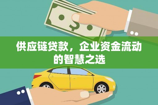 荣县供应链贷款，企业资金流动的智慧之选