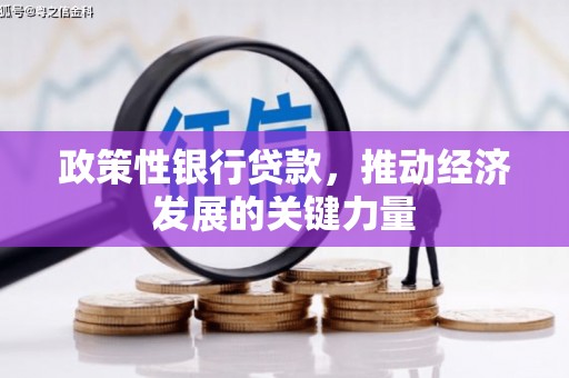 荣县政策性银行贷款，推动经济发展的关键力量