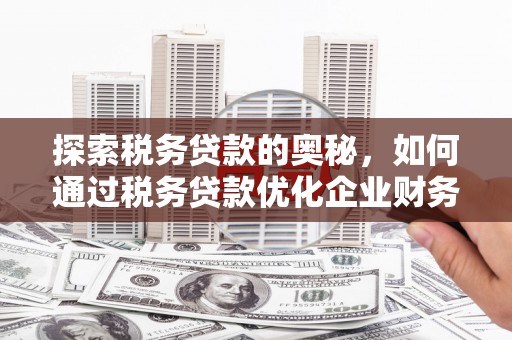 荣县探索税务贷款的奥秘，如何通过税务贷款优化企业财务