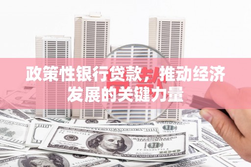 荣县政策性银行贷款，推动经济发展的关键力量