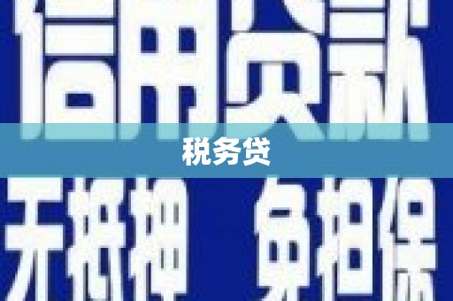 荣县税务贷