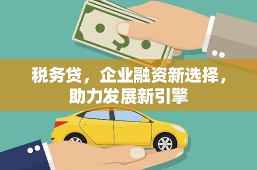 荣县税务贷，企业融资新选择，助力发展新引擎