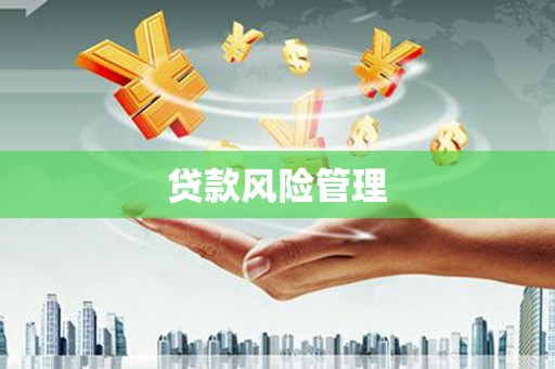 荣县贷款风险管理