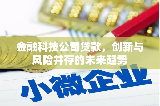 荣县金融科技公司贷款，创新与风险并存的未来趋势