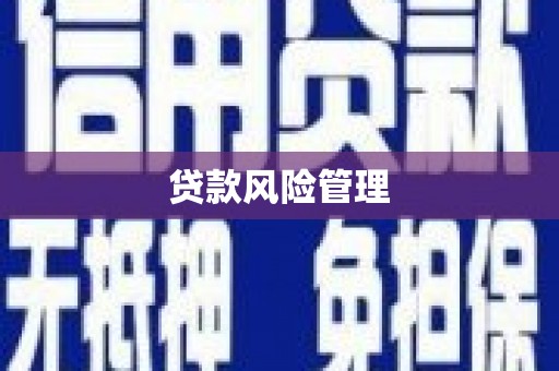 荣县贷款风险管理