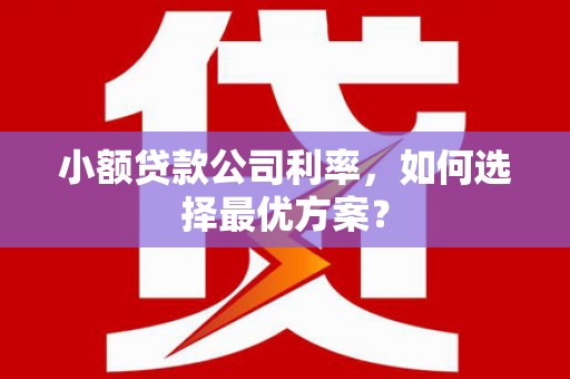 荣县小额贷款公司利率，如何选择最优方案？