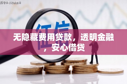 荣县无隐藏费用贷款，透明金融，安心借贷