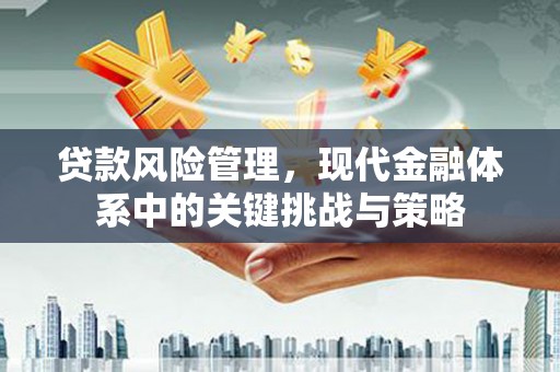 荣县贷款风险管理，现代金融体系中的关键挑战与策略