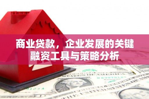荣县商业贷款，企业发展的关键融资工具与策略分析