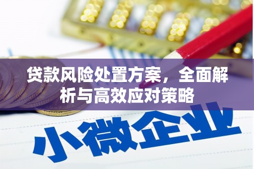 荣县贷款风险处置方案，全面解析与高效应对策略