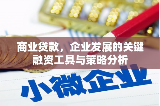 荣县商业贷款，企业发展的关键融资工具与策略分析