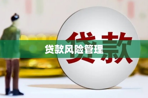 荣县贷款风险管理