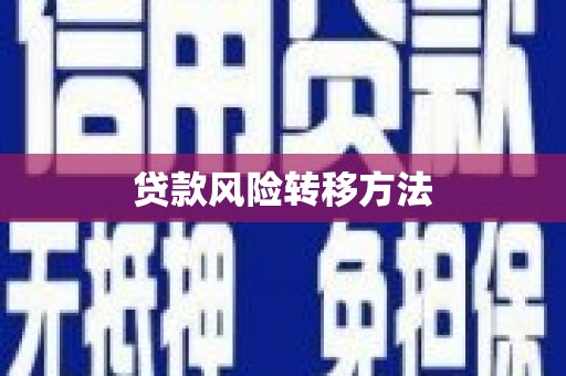 荣县贷款风险转移方法