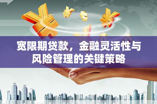 荣县宽限期贷款，金融灵活性与风险管理的关键策略