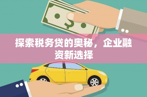 荣县探索税务贷的奥秘，企业融资新选择