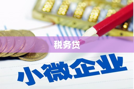 荣县税务贷