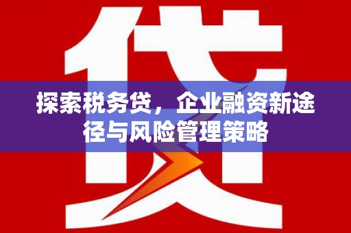 荣县探索税务贷，企业融资新途径与风险管理策略