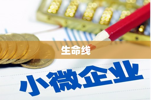 荣县生命线