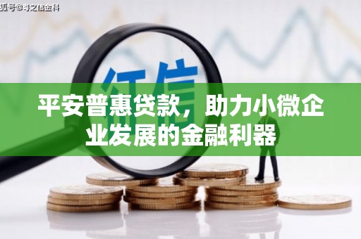 荣县平安普惠贷款，助力小微企业发展的金融利器