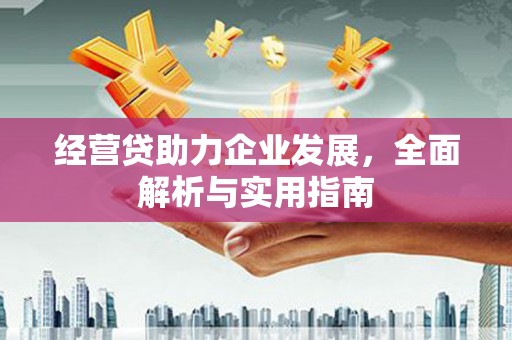 荣县经营贷助力企业发展，全面解析与实用指南