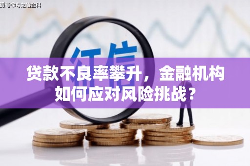 荣县贷款不良率攀升，金融机构如何应对风险挑战？