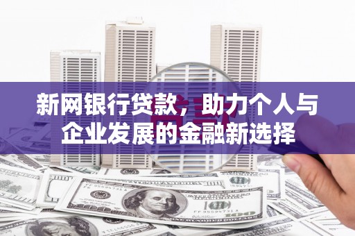 荣县新网银行贷款，助力个人与企业发展的金融新选择