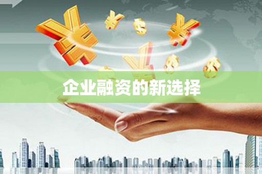 荣县企业融资的新选择