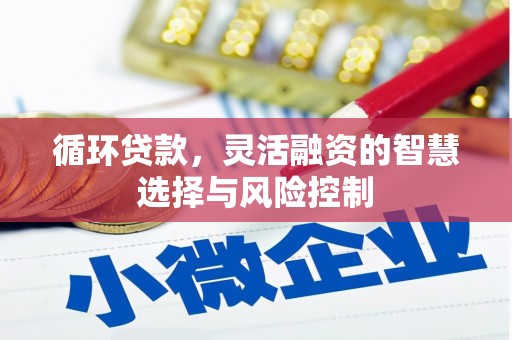 荣县循环贷款，灵活融资的智慧选择与风险控制