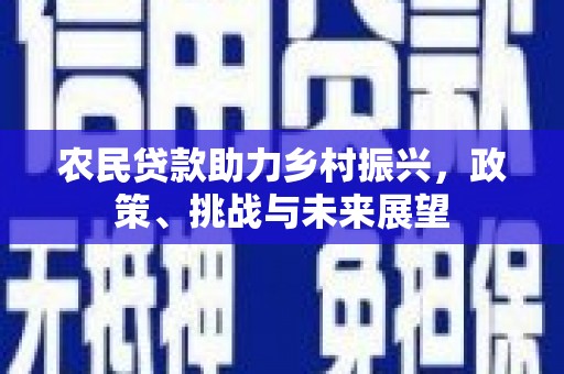 荣县农民贷款助力乡村振兴，政策、挑战与未来展望