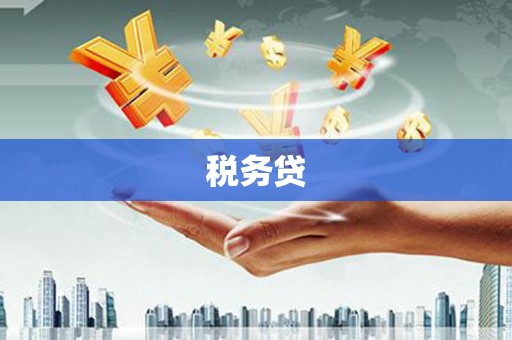 荣县税务贷