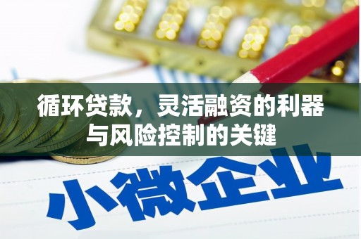 荣县循环贷款，灵活融资的利器与风险控制的关键