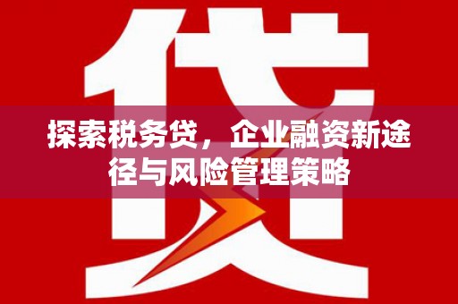 荣县探索税务贷，企业融资新途径与风险管理策略