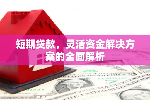 荣县短期贷款，灵活资金解决方案的全面解析