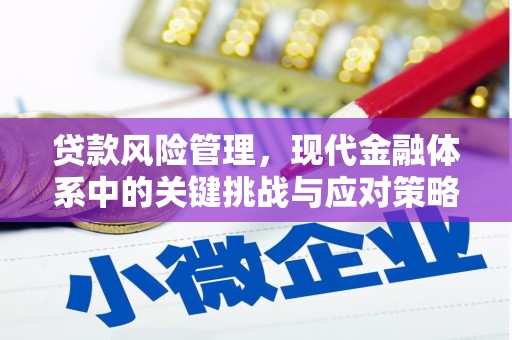 荣县贷款风险管理，现代金融体系中的关键挑战与应对策略