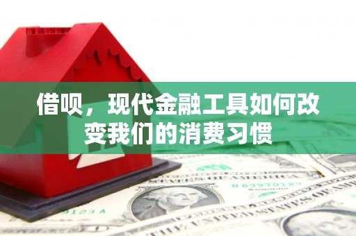 荣县借呗，现代金融工具如何改变我们的消费习惯