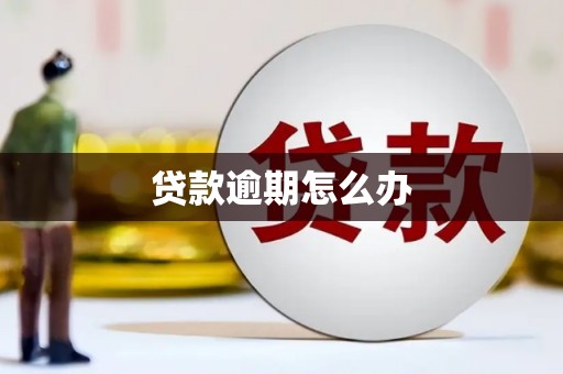 荣县贷款逾期怎么办