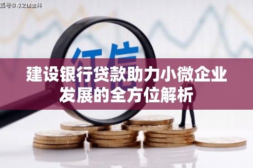 荣县建设银行贷款助力小微企业发展的全方位解析