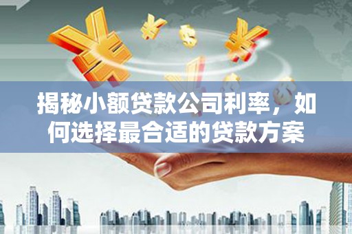 荣县揭秘小额贷款公司利率，如何选择最合适的贷款方案