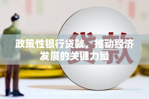 荣县政策性银行贷款，推动经济发展的关键力量