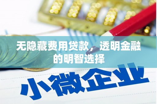荣县无隐藏费用贷款，透明金融的明智选择