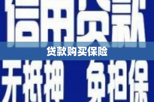 荣县贷款购买保险