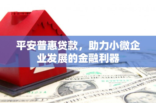荣县平安普惠贷款，助力小微企业发展的金融利器