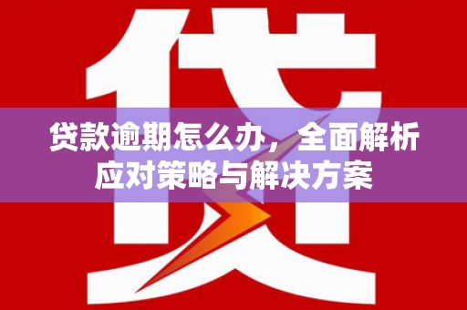 荣县贷款逾期怎么办，全面解析应对策略与解决方案