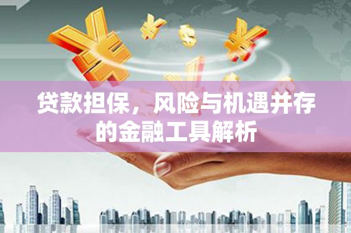 荣县贷款担保，风险与机遇并存的金融工具解析