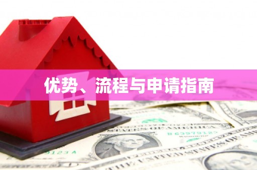 荣县优势、流程与申请指南