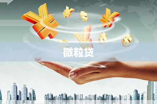 荣县微粒贷
