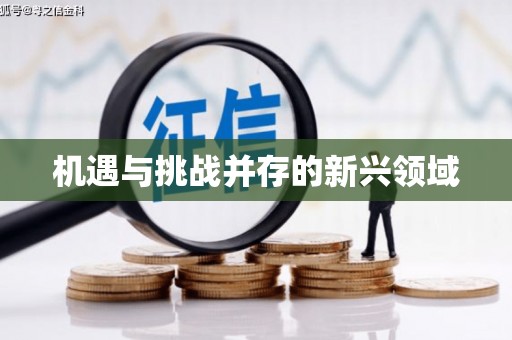 荣县机遇与挑战并存的新兴领域