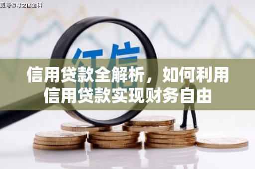荣县信用贷款全解析，如何利用信用贷款实现财务自由